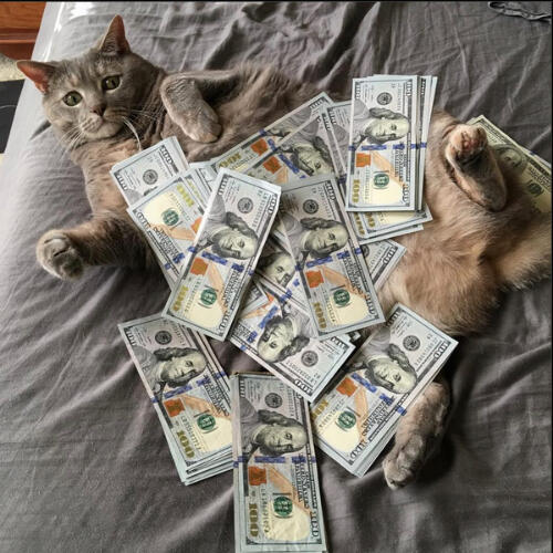 vee4r & kets4eki - SPEND IT ALL [original version]